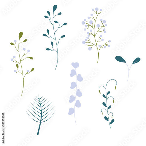 Hand drawn plant collection in pastel color. © Elena