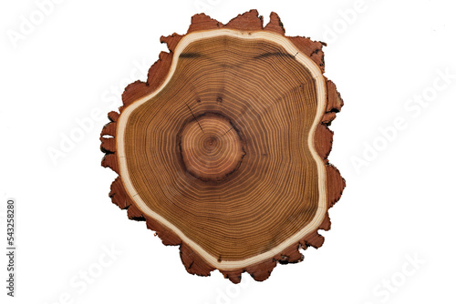 The Acacia wood plaster, natural texture

