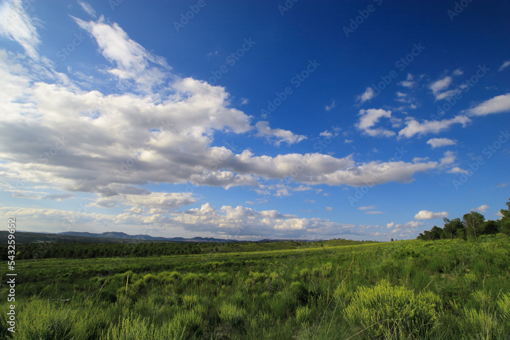 Paisaje estepario mediterráneo en primavera, con cielo azul con algunas nubes. Cieza (Murcia-España). Paisaje estepario mediterráneo en primavera, con cielo azul con algunas nubes. Cieza (Murcia-España).