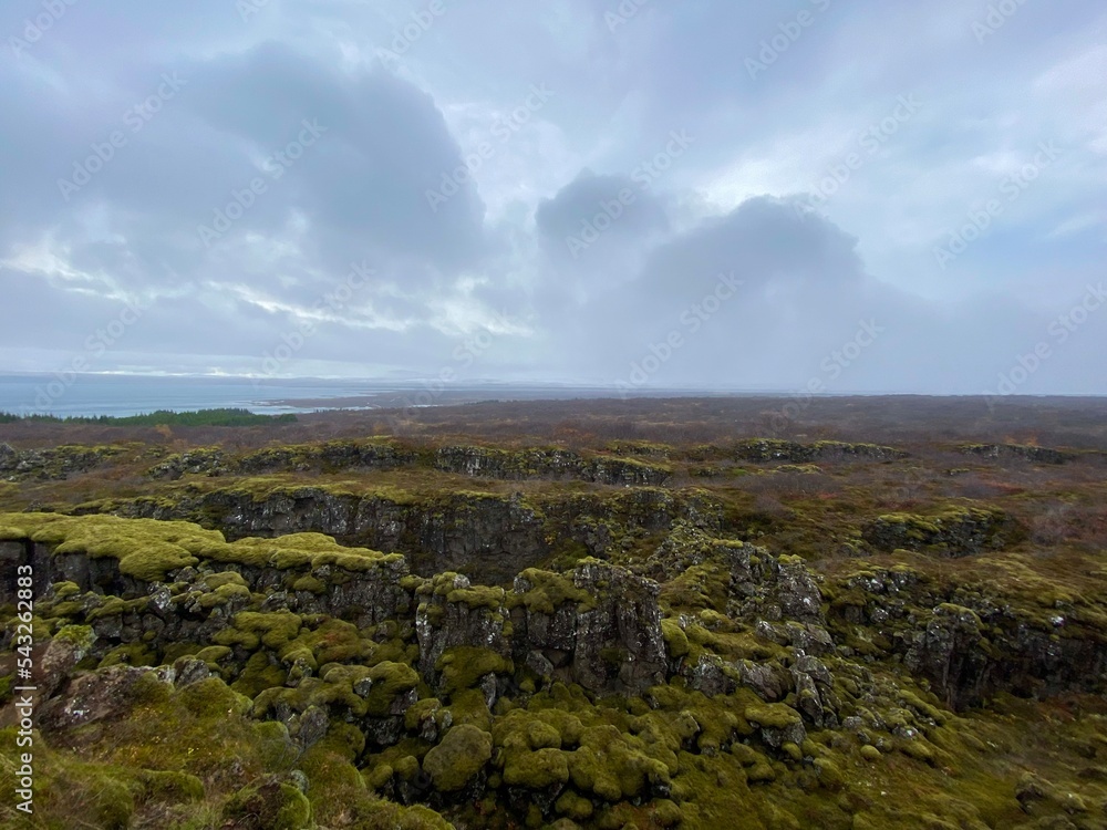 Moss Lava field in Iceland 