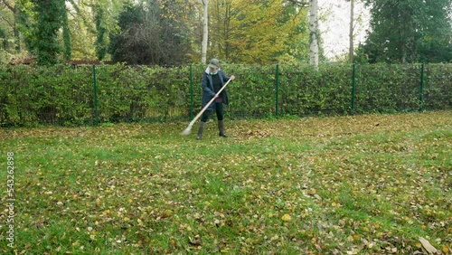 Timelapse of a woman who is working in her autumn garden and quite using a rake to gather fallen leaves onto a pile. 