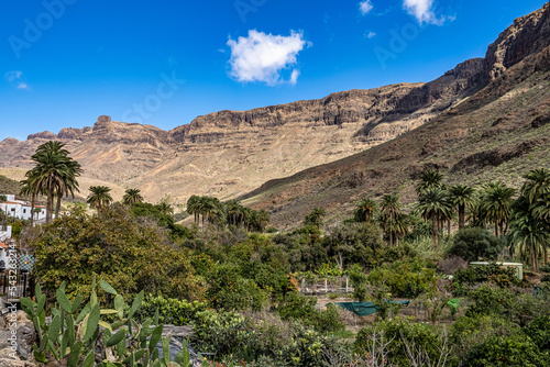 Rocky landscape of the Palm valley at Arteara in Gran Canaria island, Spain. photo