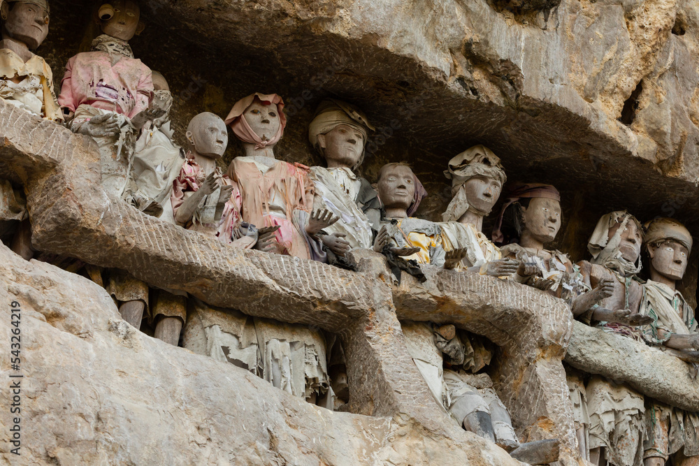 Foto de Wooden figures representing the dead at the burial site of Tana ...