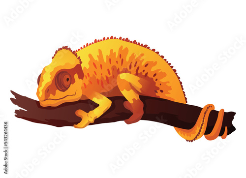 Chameleon lizard. Reptile with curved tail and camouflage skin, tropical wildlife. Exotic animal closeup