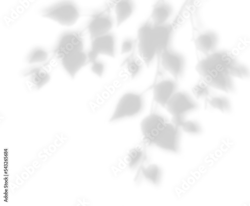 Transparent natural plant shadow. Light effect overlay. Mesh grid. Shadows from branches, plant, foliage and leaves on ground. Presentation your design card, poster Photo realistic vector illustration