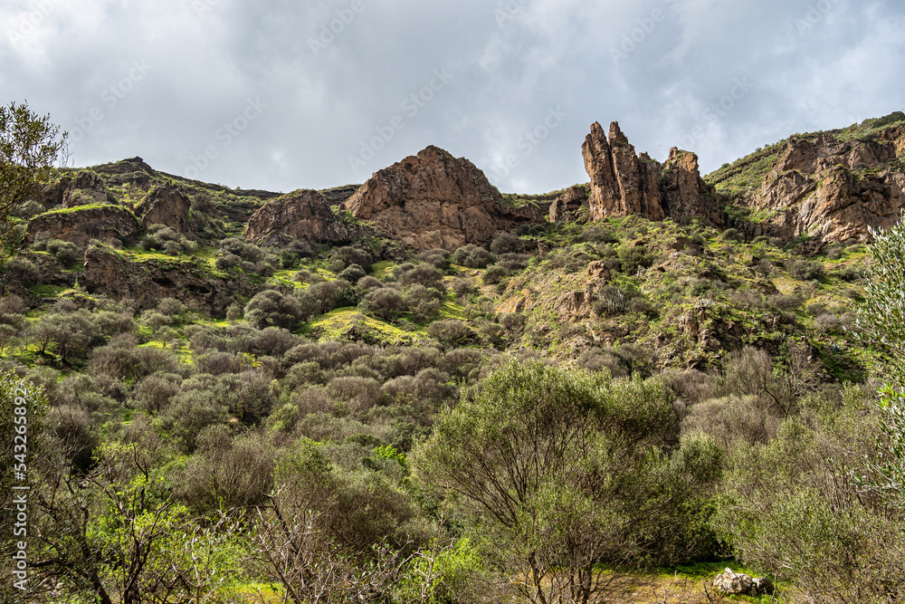 Volcanic landscape of Caldera de Bandama crater with circular hiking trail. Gran Canaria, Spain. Volcanic landscape of Caldera de Bandama crater with circular hiking trail. Gran Canaria, Spain.
