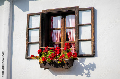 window with flowers, early autumn, peasant house, northern Croatia