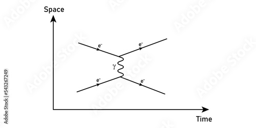 Feynman diagrams in theoretical physics.