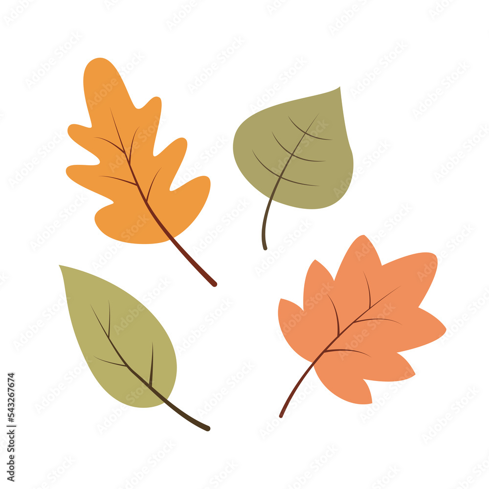 Fototapeta premium Autumn leaves set isolated on white background. Vector illustration cartoon flat style.