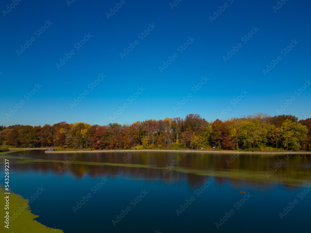 Fototapeta premium autumn trees reflected in water
