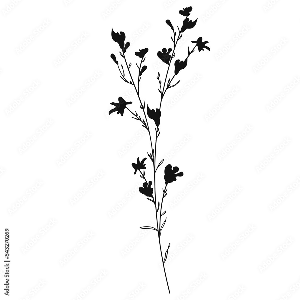 Wild Flower Silhouette. Hand Drawn Floral Illustration