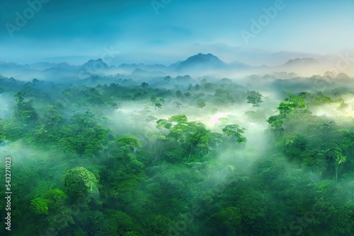 Panoramic view of the jungle. Aerial panorama of tropical forests in the morning mist. 3d artwork photo