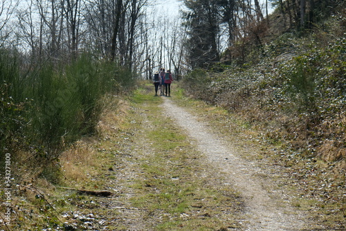 FU 2022-03-26 Siegsteig 14 Auf dem Waldweg gehen Leute spazieren