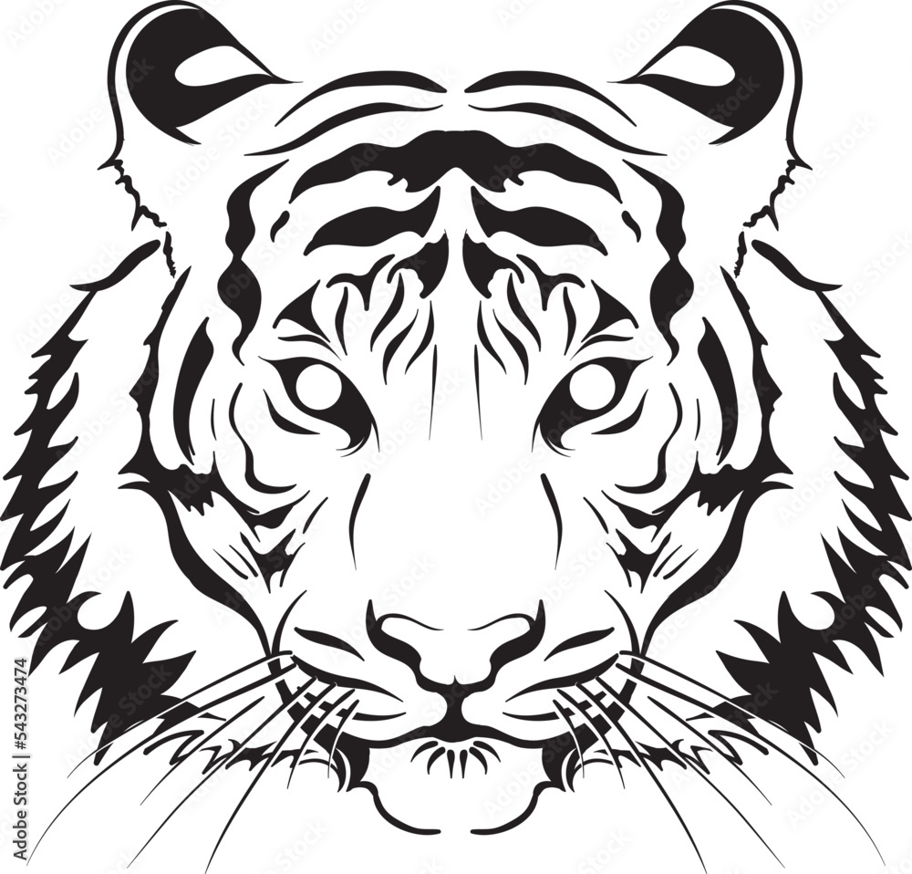 Illustration of the Tiger face Illustration of the Tiger face
