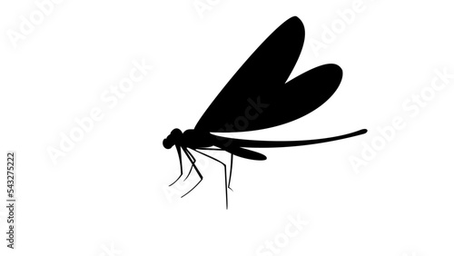 Dragonfly silhouette