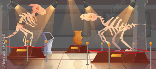 Empty historical museum interior of paleontology with dinosaur skeleton and ancient artifacts. Cartoon exhibition hall with exhibits of archeology, prehistoric animals. Archaeological dino on pedestal