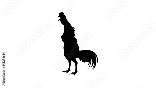 Fighters rooster silhouette