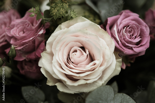 Bouquet de roses 