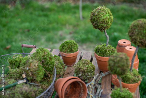 Wallpaper Mural Weihnachtsdeko basteln, Baum aus Moos gestalten, Dekoration im Advent selber machen, DIY Torontodigital.ca