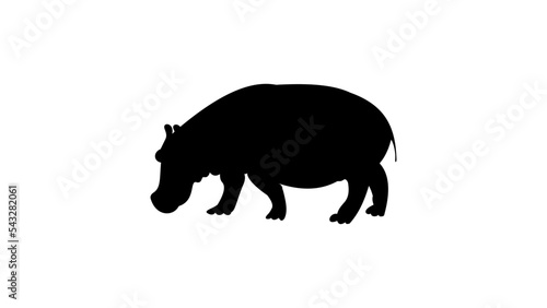 Hippo silhouette