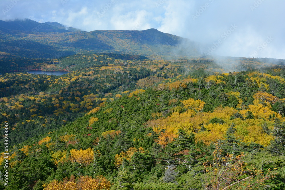 Fototapeta premium 白駒池登山