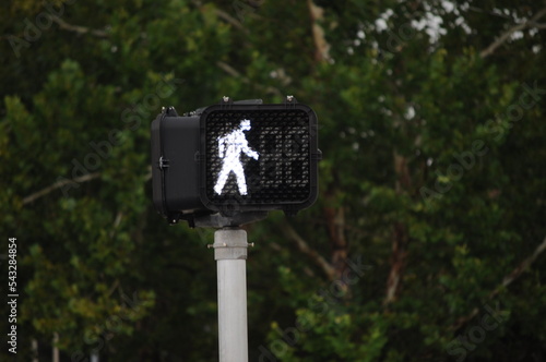 pedestrian crossing sign photo