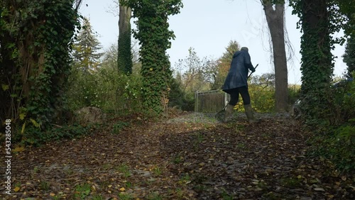 Timelapse of a woman raking up fallen autumn leaves in the driveway of her property 