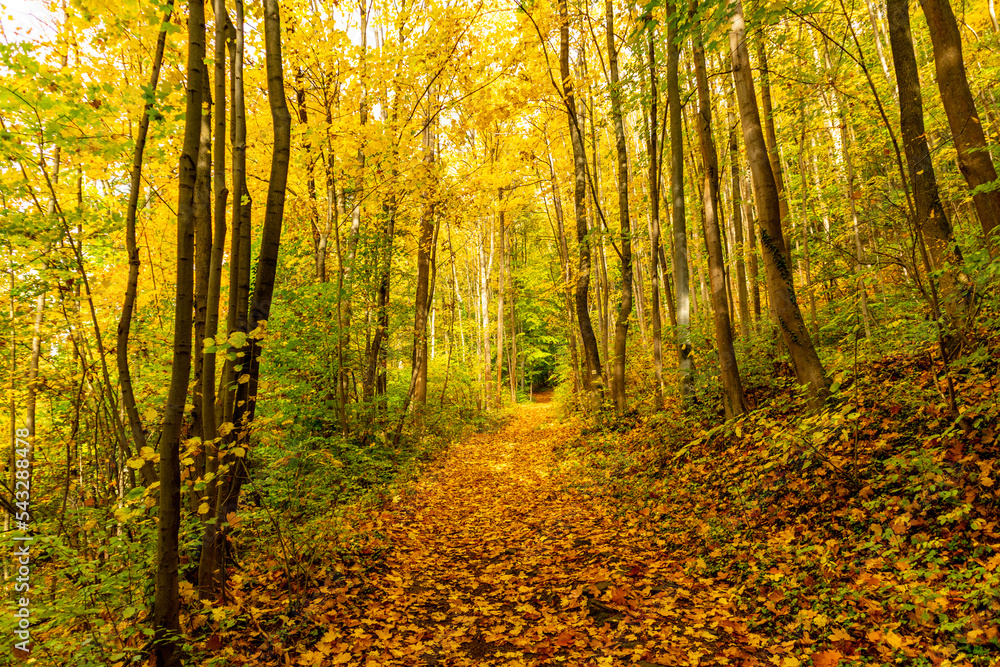 Kleiner Herbstspaziergang durch die schöne Parklandschaft bei Bad Liebenstein - Thüringen - Deutschland