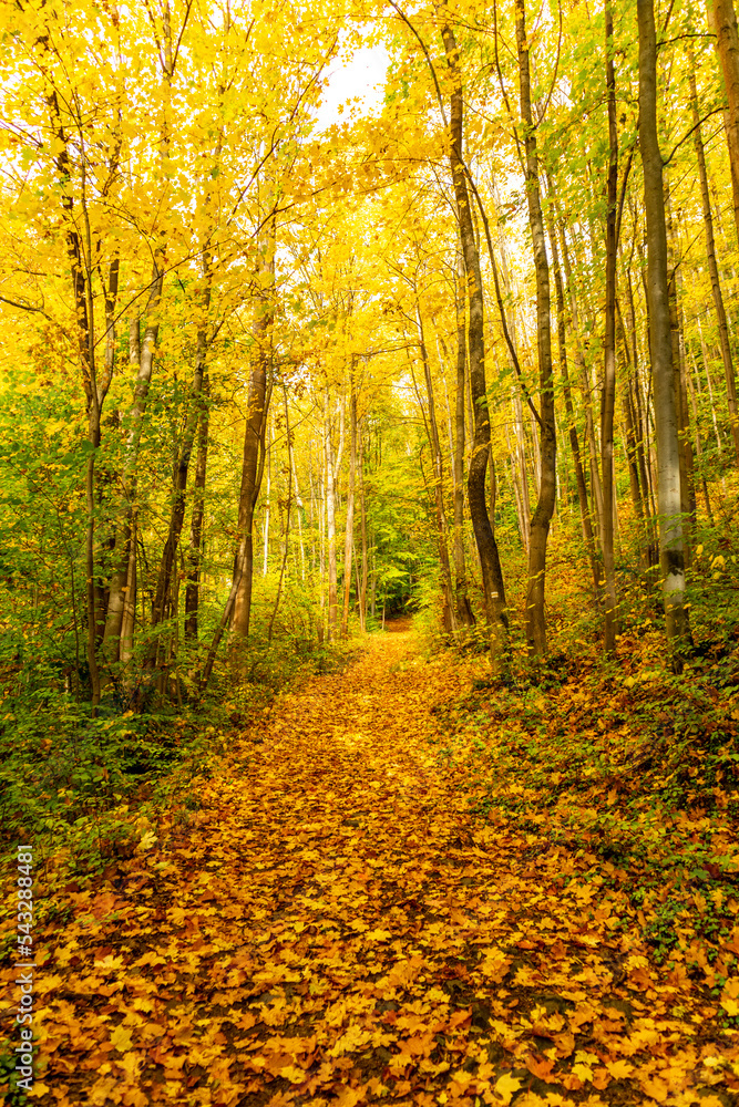 Kleiner Herbstspaziergang durch die schöne Parklandschaft bei Bad Liebenstein - Thüringen - Deutschland Kleiner Herbstspaziergang durch die schöne Parklandschaft bei Bad Liebenstein - Thüringen - Deutschland