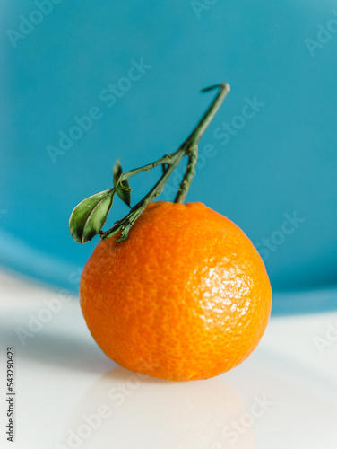 Single mandarin