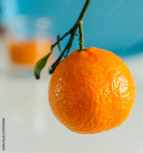 Single mandarin
