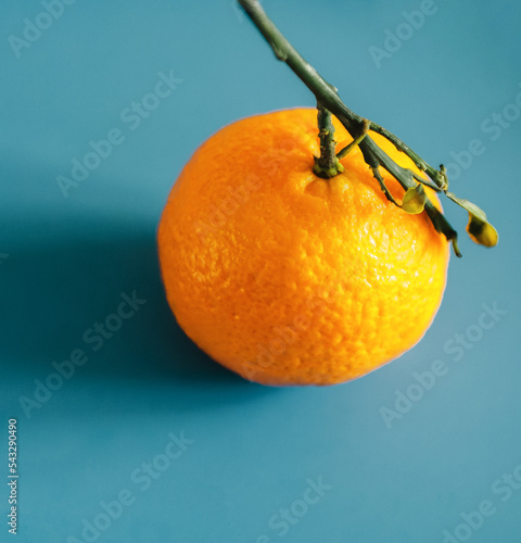 Single mandarin