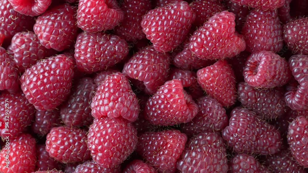 Fresh red raspberry in background, close up, top view, rotate. Many ripe raspberries berries texture. Food and agriculture concept Fresh red raspberry in background, close up, top view, rotate. Many ripe raspberries berries texture. Food and agriculture concept