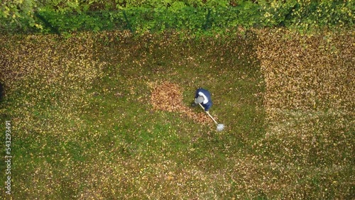 a top shot of a woman in her garden raking leaves into a small pile.
