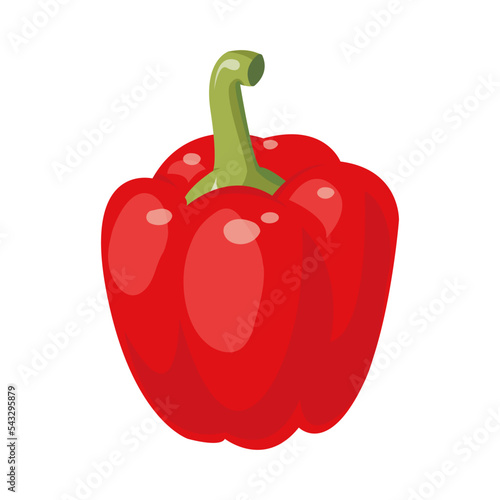 Red pepper, red paprika, vector