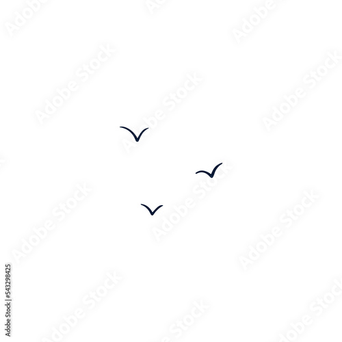 Hand drawn vector illustration. Flying birds