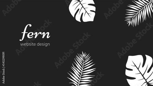 website design fern
