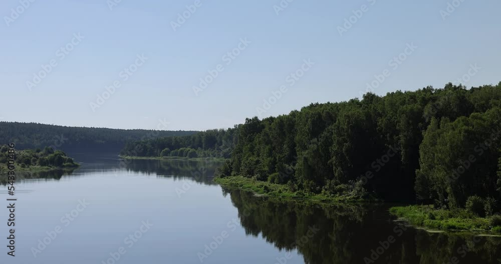 Trees in a mixed forest near the river in the summer season, the reflection of trees in the water of the river during the day Trees in a mixed forest near the river in the summer season, the reflection of trees in the water of the river during the day