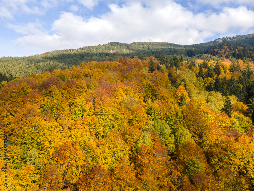 Aerial Autumn view of Vitosha Mountain, Bulgaria Aerial Autumn view of Vitosha Mountain, Bulgaria