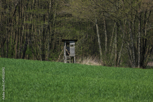 Zielone pole, las i drewniana ambona dla myśliwych na wsi. Wiosna na wsi