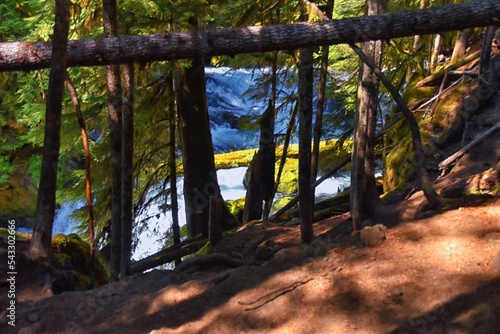 Sahalie Koosah Tamolitch falls hiking trail on McKenzie river, Williamette National Forest, Cascade Mountains, Oregon. photo