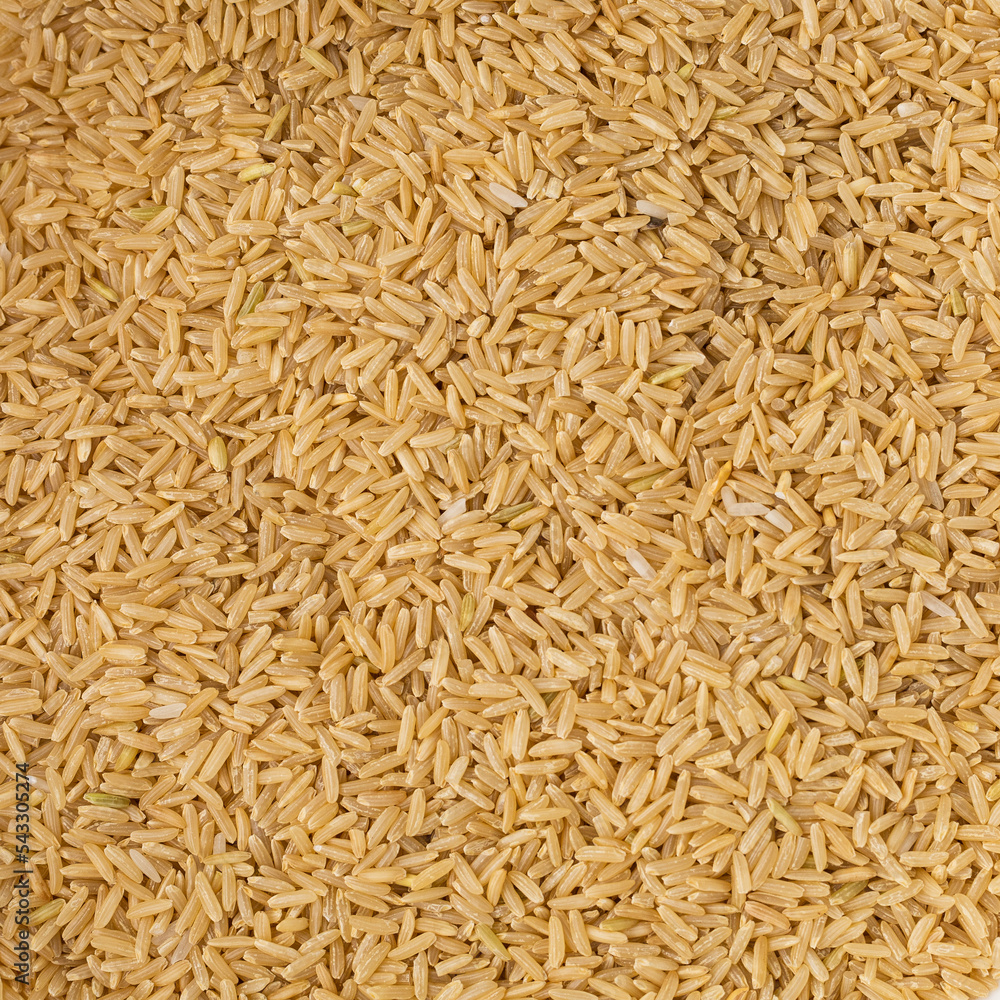 Dry brown long grain rice solid background
