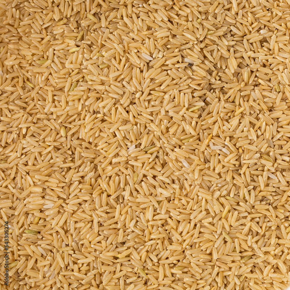 Dry brown long grain rice solid background Dry brown long grain rice solid background