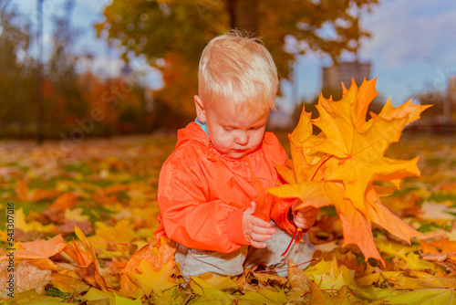 a little boy in an orange jacket collects autumn leaves