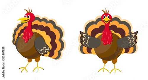 Thanksgiving day. Turkey illustration. Festive turkey. Two brown turkeys