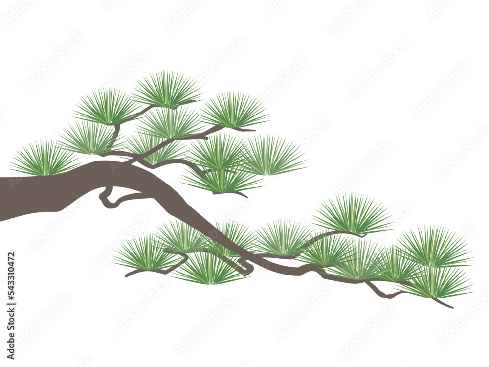 Vetor de 松の木_ベクターイラスト do Stock | Adobe Stock