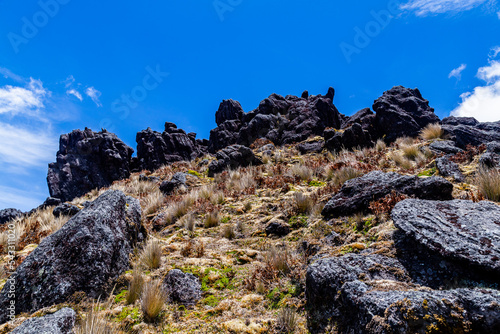 Reserva Cayambe-Coca photo