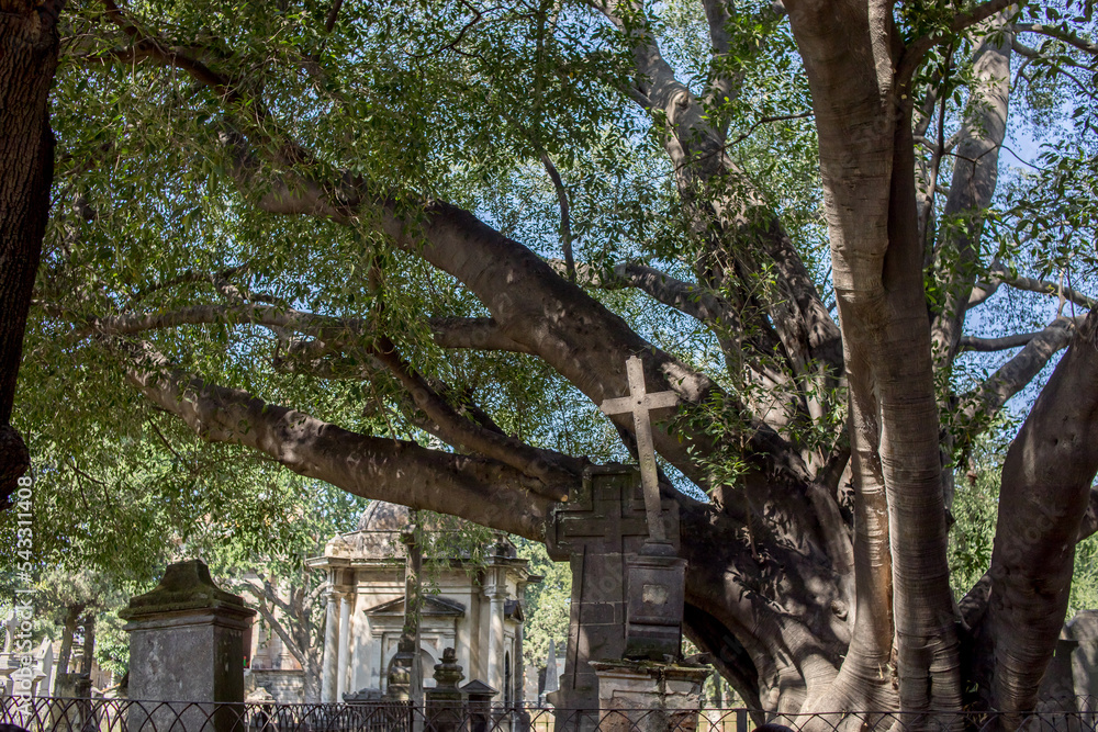 Tumbas del cementerio de Belén en dia de muertos en Guadalajara Jalisco