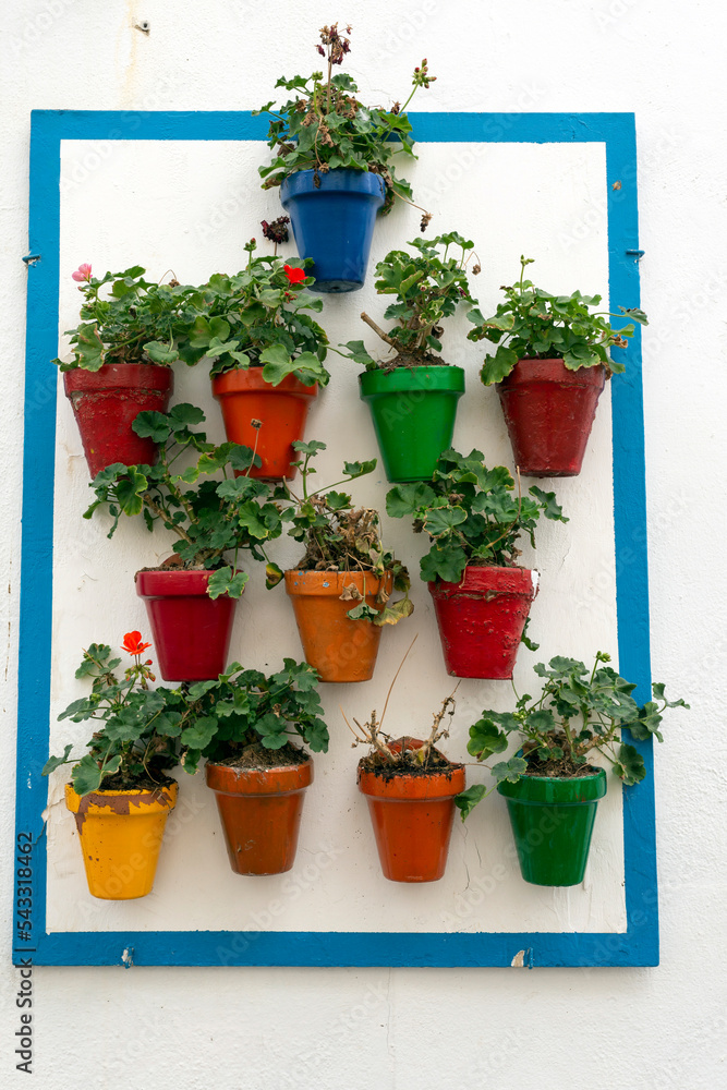 Naklejka premium Flowerpots in Cordoba, Spain