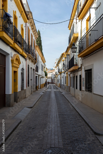 Fototapeta Naklejka Na Ścianę i Meble -  Narrow street in Cordoba, Spain